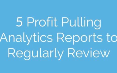 5 Profit Pulling Analytics Reports to Regularly Review