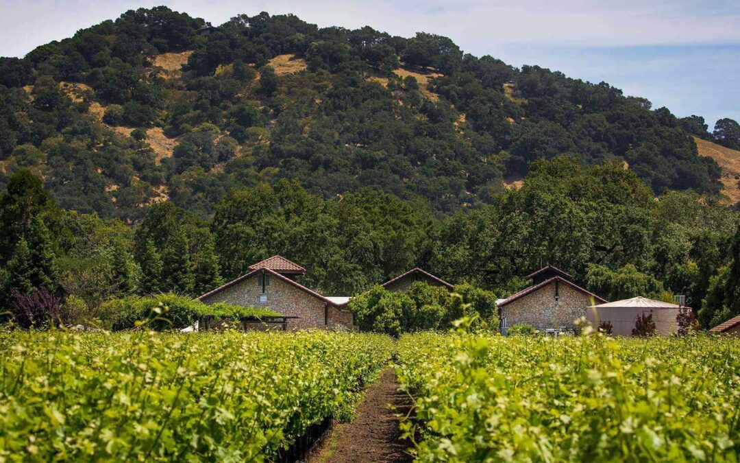 Bell Wine Cellars