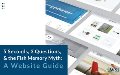 5 Seconds, 3 Questions, & the Fish Memory Myth: A Website Guide