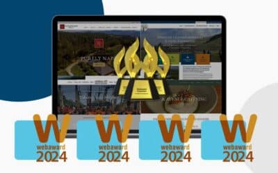 Award-Winning Digital Marketing: WSI Next Gen Marketing Takes Home Top Honors