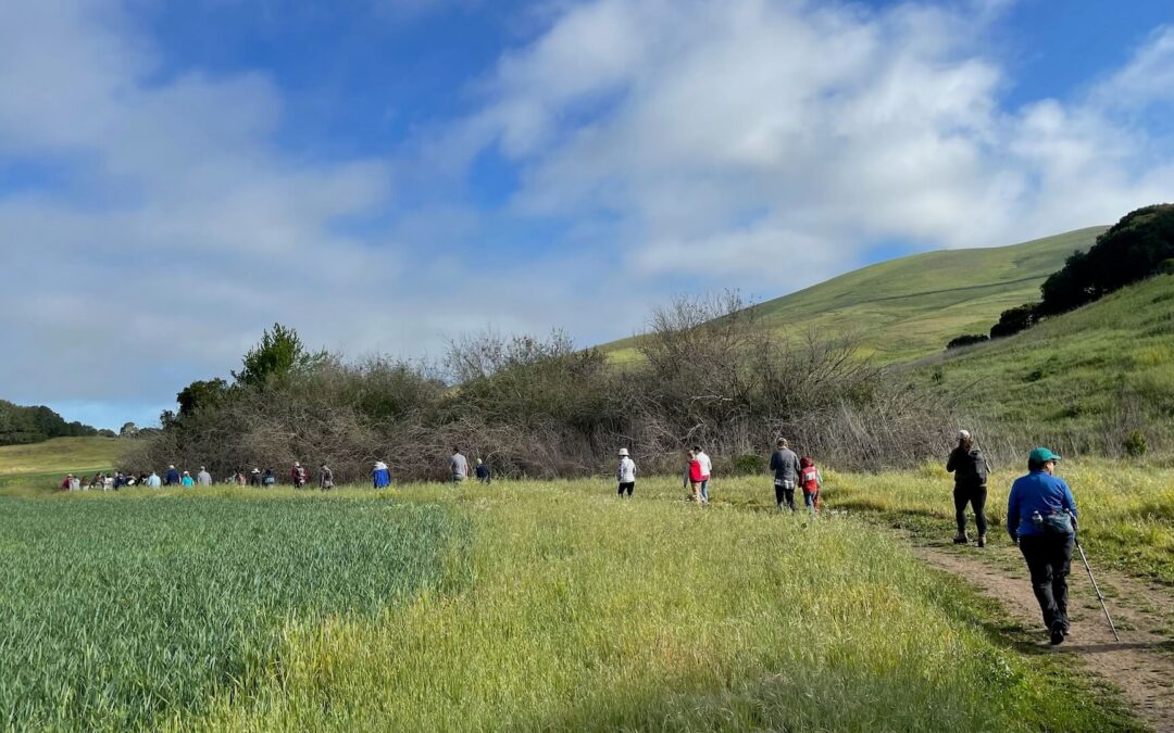 American Canyon Community & Parks Foundation