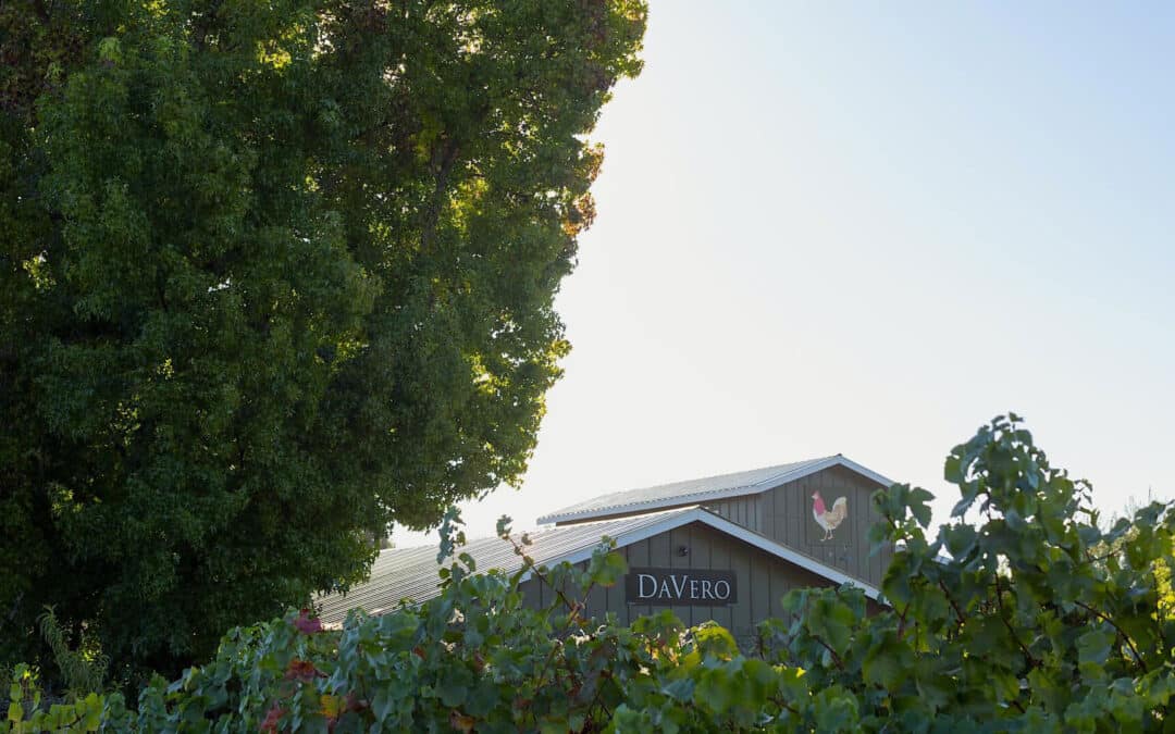 DaVero Farms and Winery