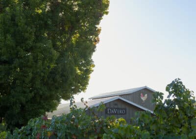DaVero Farms and Winery