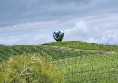 California Wine Tours Case Study