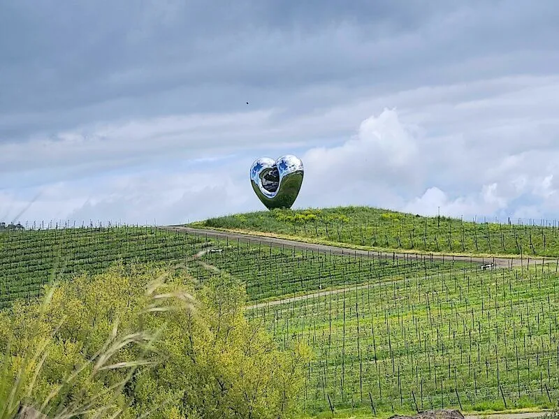 California Wine Tours Case Study